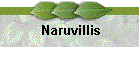 Naruvillis